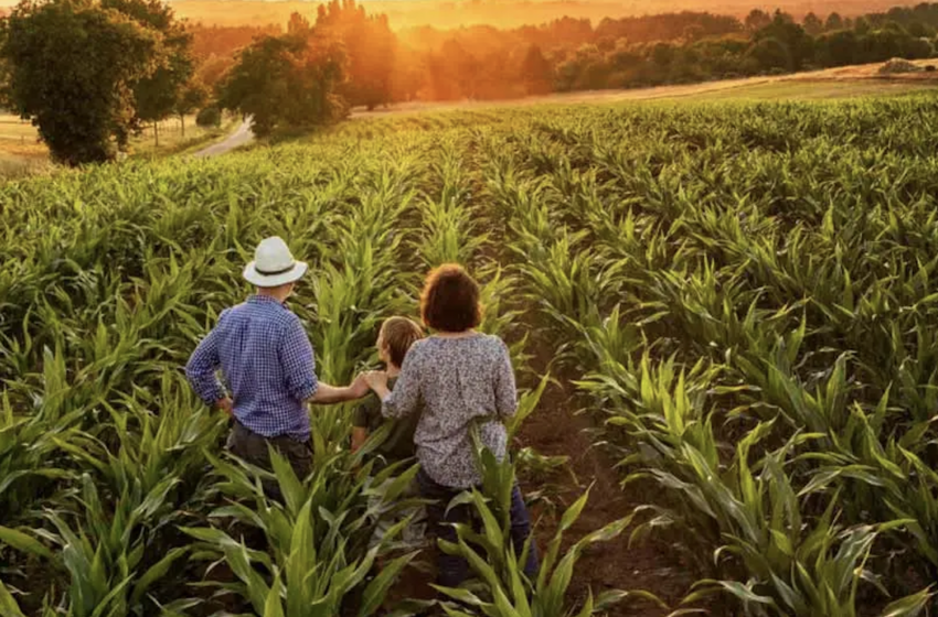  A importância da Agricultura Familiar e da Extensão Rural Pública para superação da crise