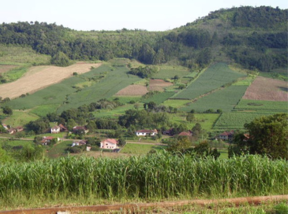  O diagnóstico da Extensão Rural e Social no RS foi realizado, mas por onde passam as soluções?