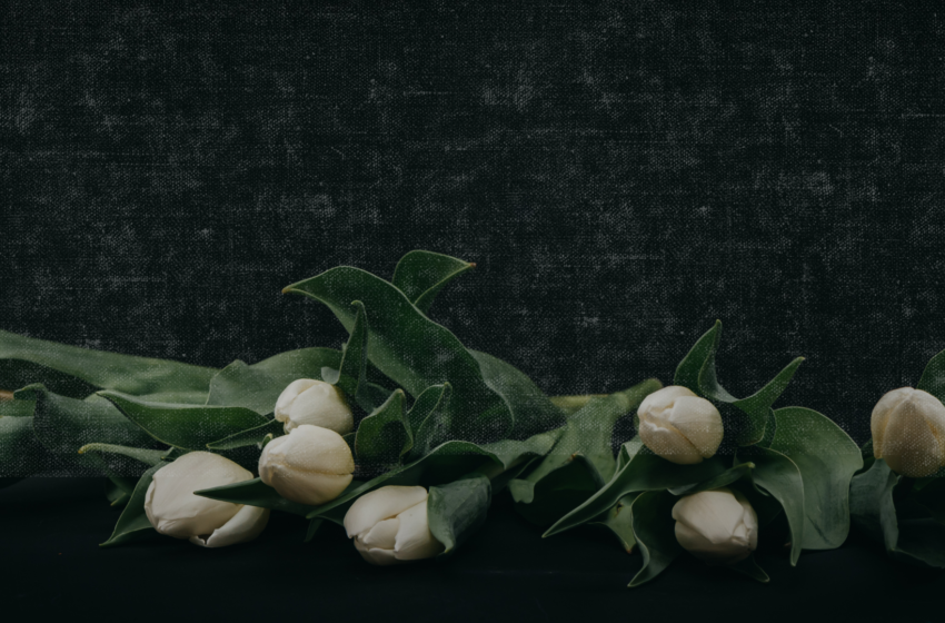 Seguro de Vida da ASAE oferece Serviço de Assistência Funeral para segurados e seus familiares